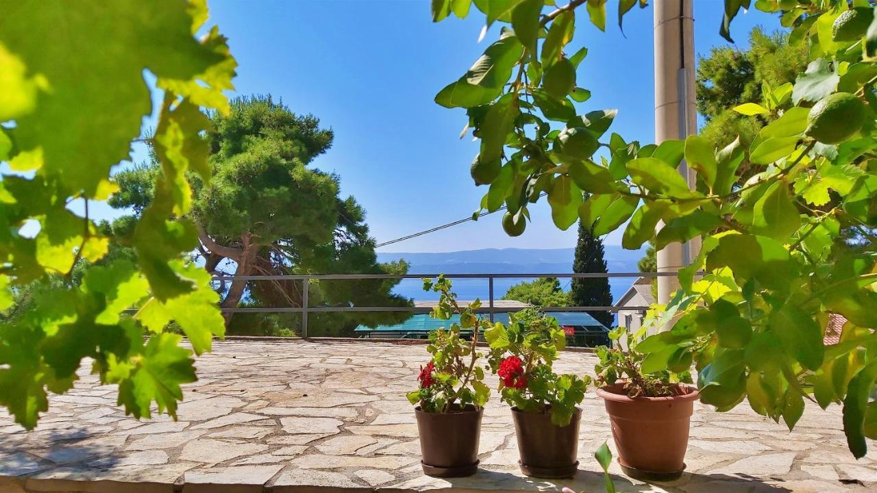 Apartments Gajo Omis Exterior photo